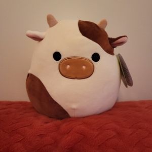 8" Ronnie Squishmallow